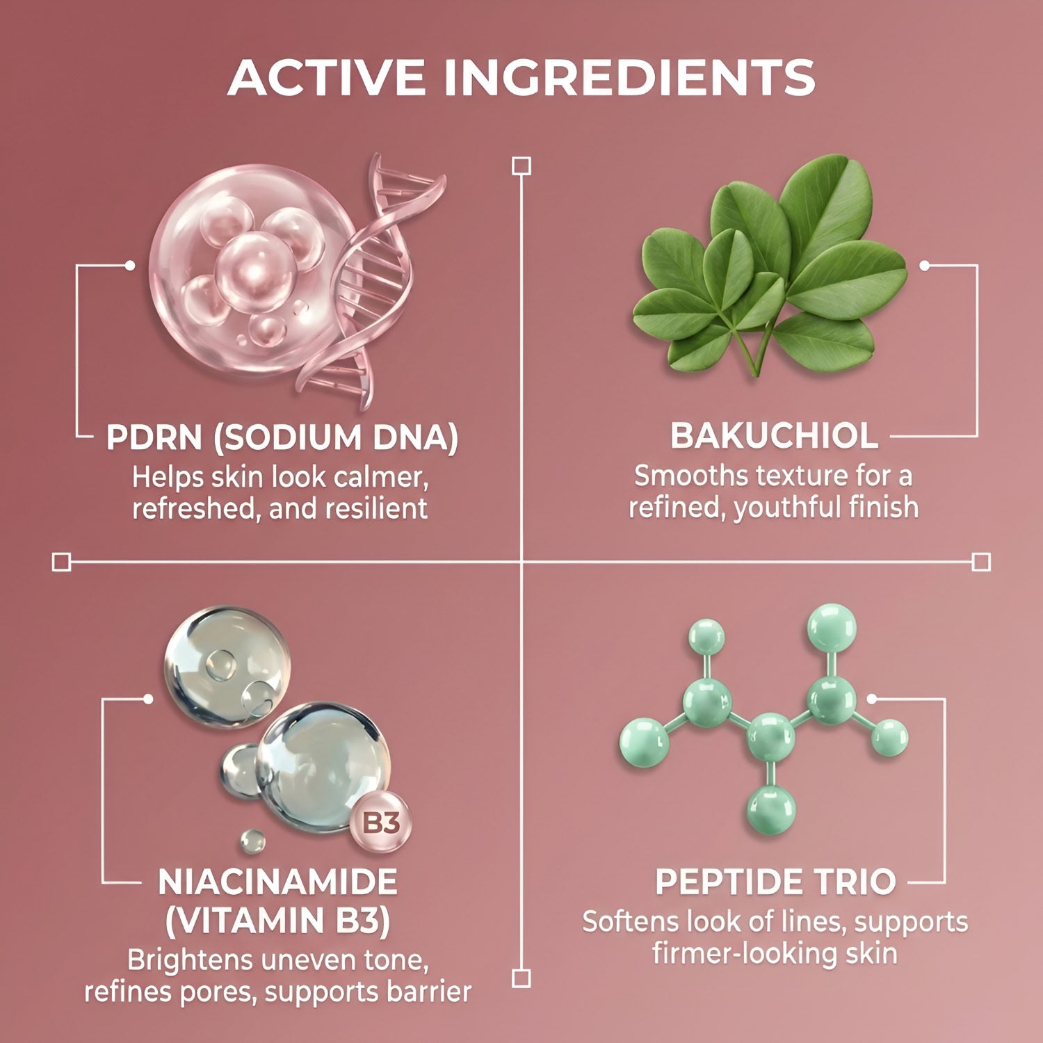 Infographic featuring four skincare actives: Cirela Beauty's PDRN Pink Peptide Serum for hydration, Bakuchiol for smoothing, Niacinamide (Vitamin B3) for radiance, and a Peptide Trio serum for firmer-looking skin.